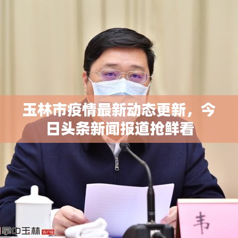 玉林市疫情最新动态更新，今日头条新闻报道抢鲜看