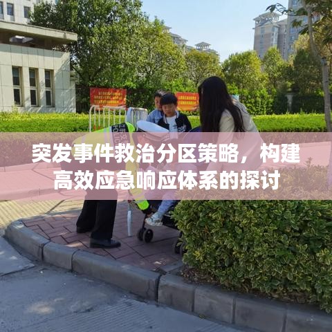 突发事件救治分区策略，构建高效应急响应体系的探讨