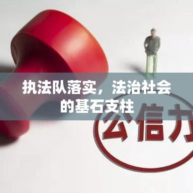 执法队落实，法治社会的基石支柱