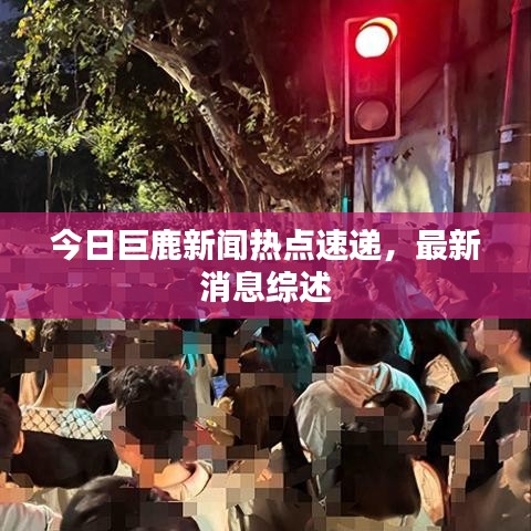 今日巨鹿新闻热点速递，最新消息综述