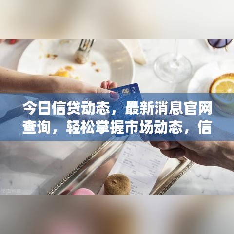 今日信贷动态，最新消息官网查询，轻松掌握市场动态，信贷信息一键便捷查询！