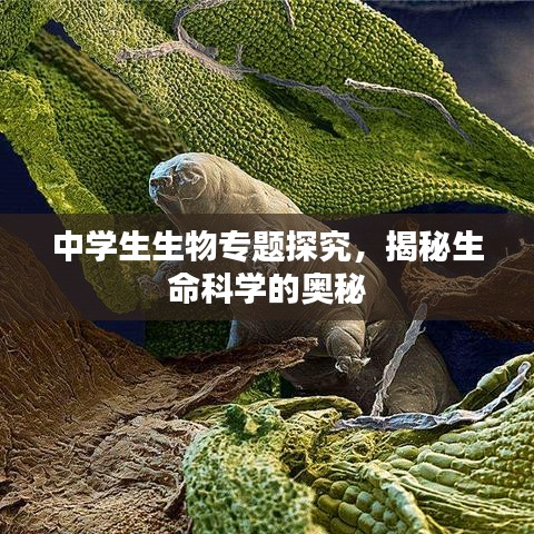 中学生生物专题探究，揭秘生命科学的奥秘