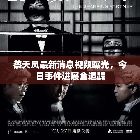 蔡天凤最新消息视频曝光，今日事件进展全追踪