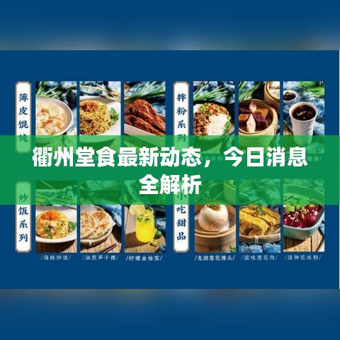 衢州堂食最新动态，今日消息全解析
