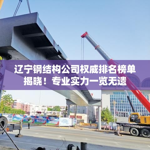 辽宁钢结构公司权威排名榜单揭晓！专业实力一览无遗