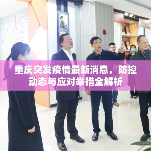 重庆突发疫情最新消息，防控动态与应对举措全解析