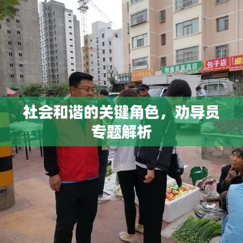 社会和谐的关键角色，劝导员专题解析
