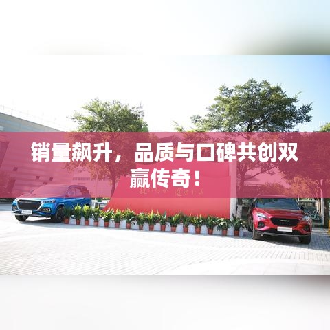 销量飙升，品质与口碑共创双赢传奇！