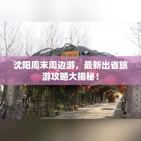 沈阳周末周边游，最新出省旅游攻略大揭秘！