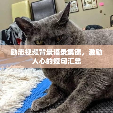 秀外慧中