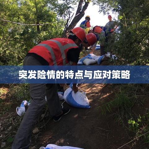 突发险情的特点与应对策略