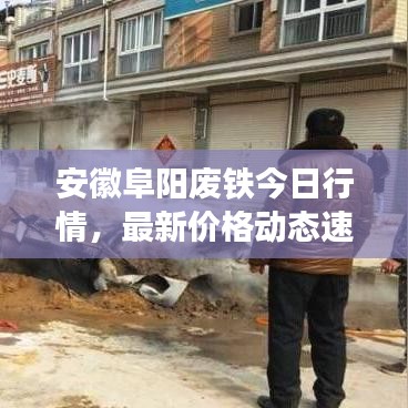 安徽阜阳废铁今日行情，最新价格动态速递