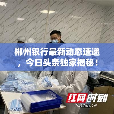 郴州银行最新动态速递，今日头条独家揭秘！