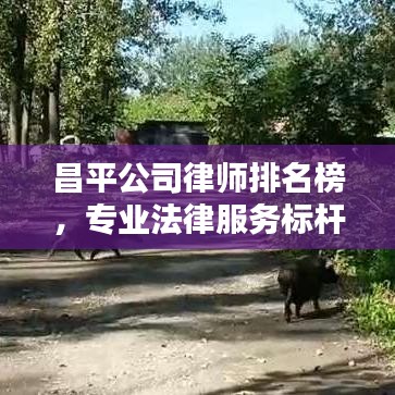 昌平公司律师排名榜，专业法律服务标杆大揭秘！