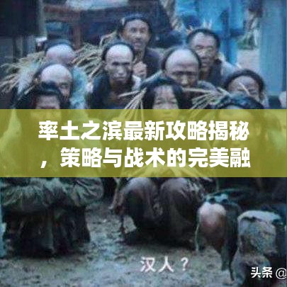 率土之滨最新攻略揭秘，策略与战术的完美融合！