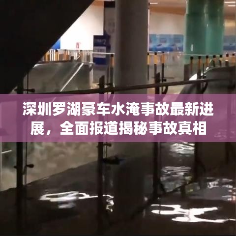 深圳罗湖豪车水淹事故最新进展，全面报道揭秘事故真相