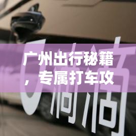 删华就素