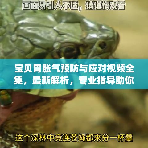 宝贝胃胀气预防与应对视频全集，最新解析，专业指导助你轻松应对