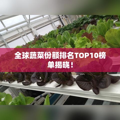 全球蔬菜份额排名TOP10榜单揭晓！