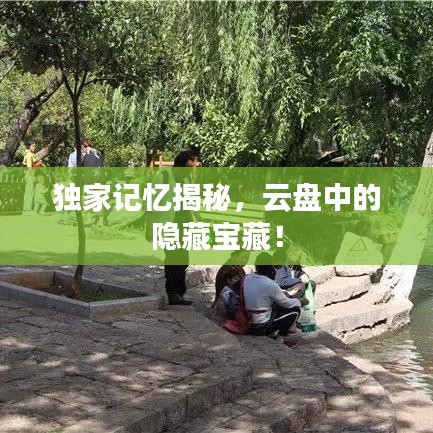独家记忆揭秘，云盘中的隐藏宝藏！