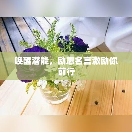 唤醒潜能，励志名言激励你前行