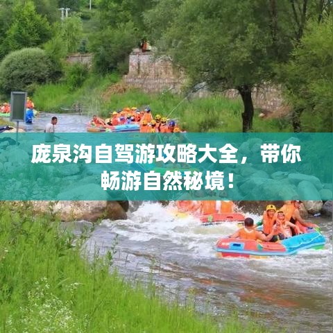 庞泉沟自驾游攻略大全，带你畅游自然秘境！