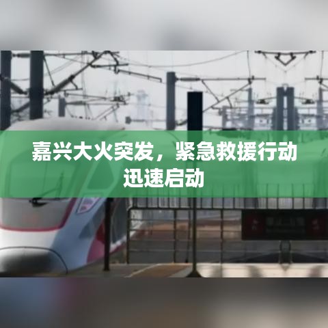 嘉兴大火突发，紧急救援行动迅速启动