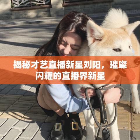 揭秘才艺直播新星刘阳，璀璨闪耀的直播界新星