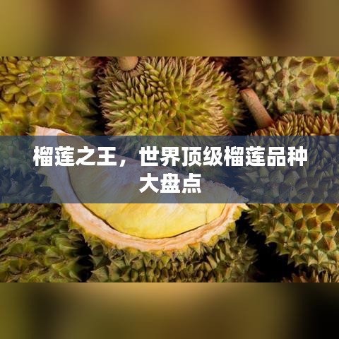 还醇返朴