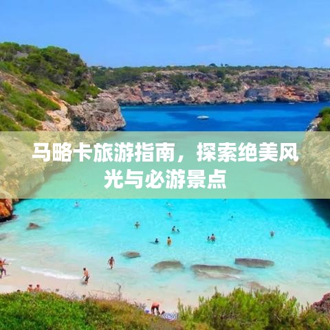 越鸟南栖