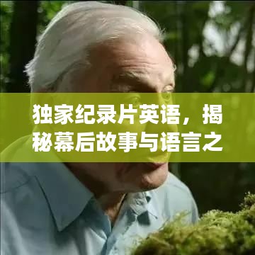 独家纪录片英语，揭秘幕后故事与语言之魅力
