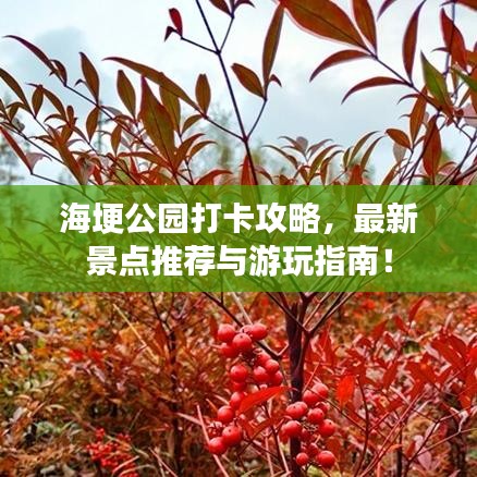 海埂公园打卡攻略，最新景点推荐与游玩指南！