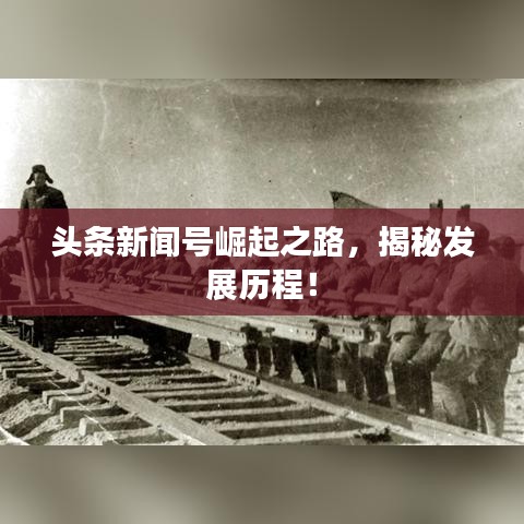 头条新闻号崛起之路，揭秘发展历程！
