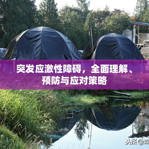突发应激性障碍，全面理解、预防与应对策略