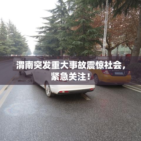 凤凰于飞