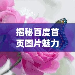 揭秘百度首页图片魅力，无限视觉盛宴大放送