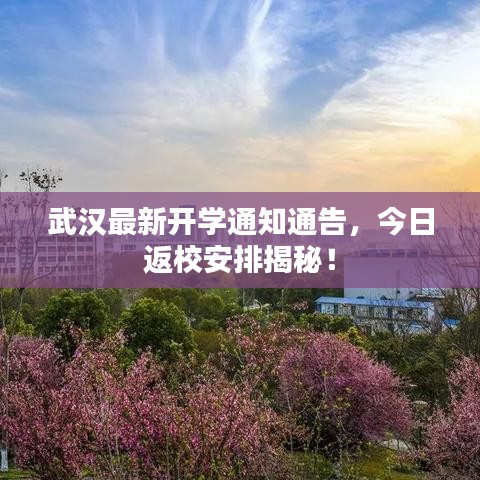 武汉最新开学通知通告，今日返校安排揭秘！