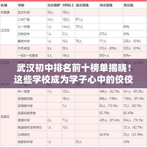 武汉初中排名前十榜单揭晓！这些学校成为学子心中的佼佼者