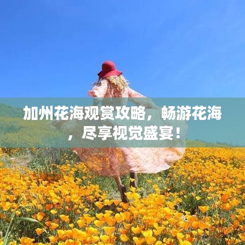 采椽不斫