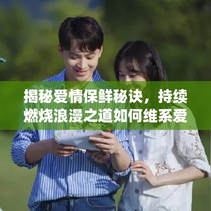 揭秘爱情保鲜秘诀，持续燃烧浪漫之道如何维系爱情火花？