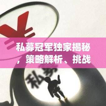 私募冠军独家揭秘，策略解析、挑战应对与未来展望