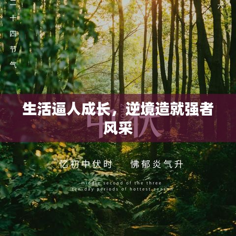 生活逼人成长，逆境造就强者风采