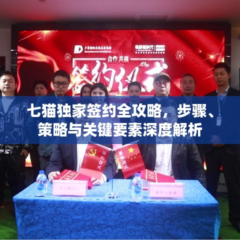 七猫独家签约全攻略，步骤、策略与关键要素深度解析