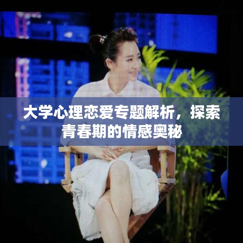 张王李赵