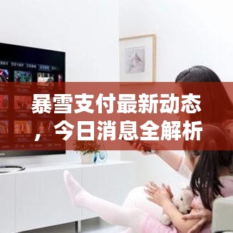 暴雪支付最新动态，今日消息全解析