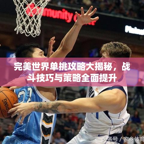 完美世界单挑攻略大揭秘，战斗技巧与策略全面提升