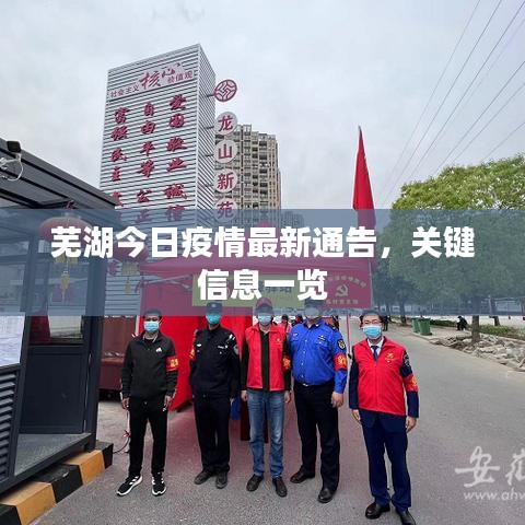 芜湖今日疫情最新通告，关键信息一览