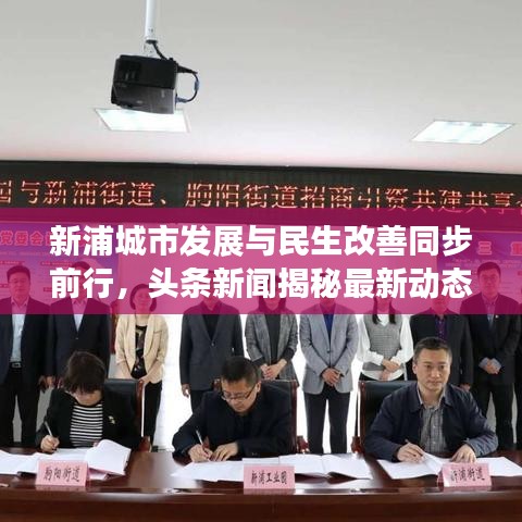 新浦城市发展与民生改善同步前行，头条新闻揭秘最新动态