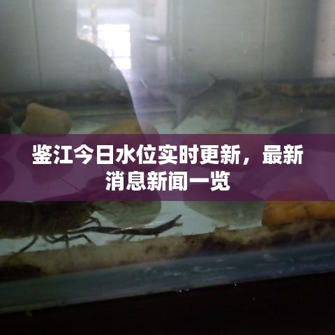 早生贵子