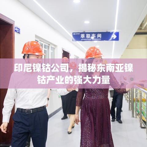 印尼镍钴公司，揭秘东南亚镍钴产业的强大力量